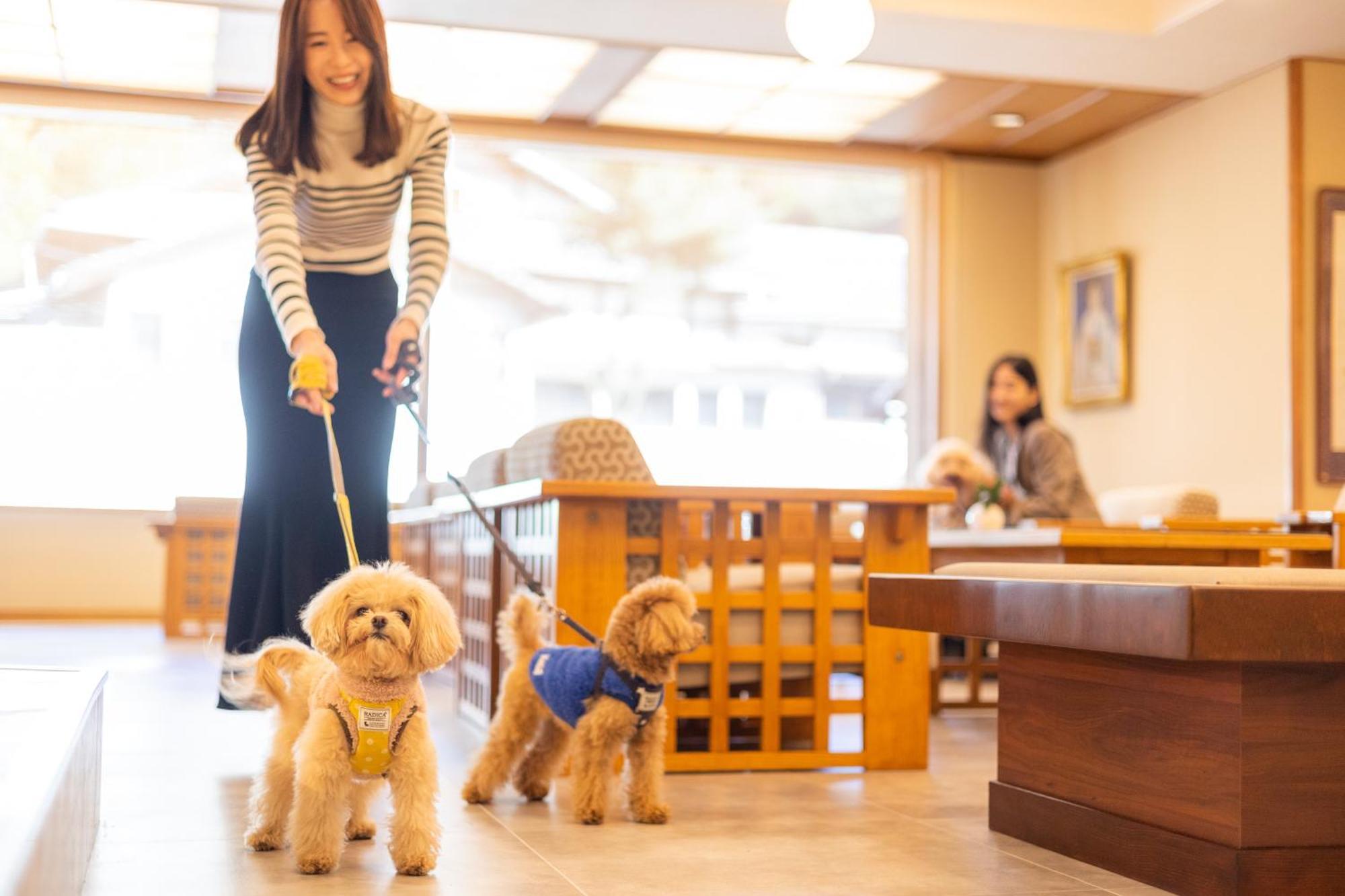 Komatsuya Hachinobou Izunokuni Bagian luar foto