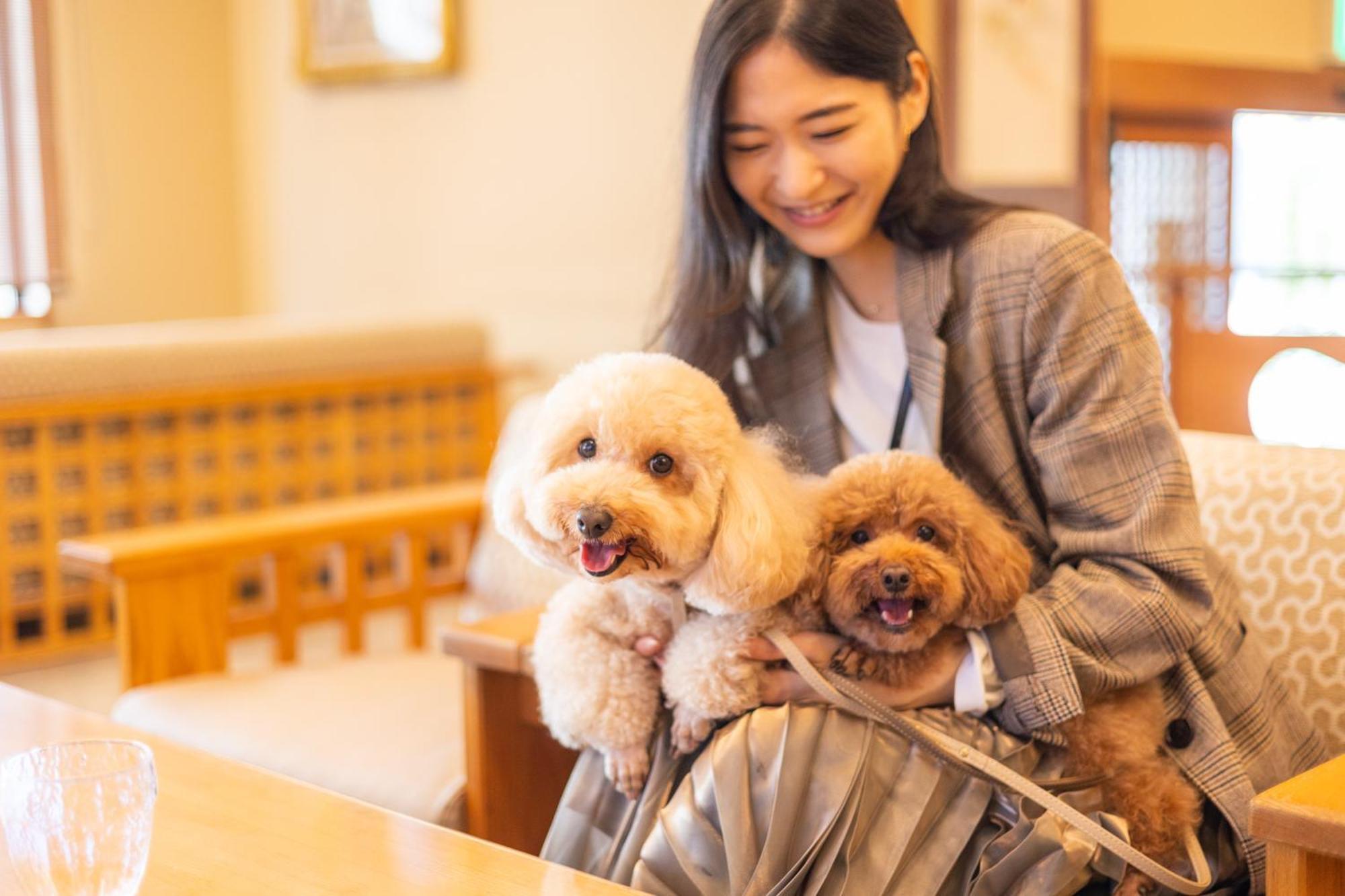 Komatsuya Hachinobou Izunokuni Bagian luar foto