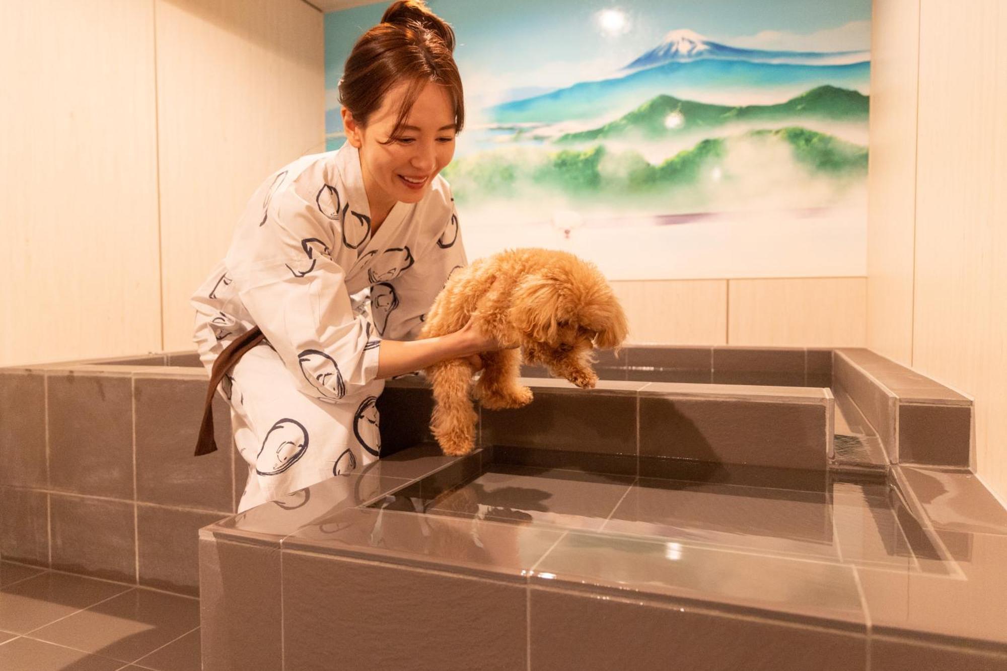 Komatsuya Hachinobou Izunokuni Bagian luar foto