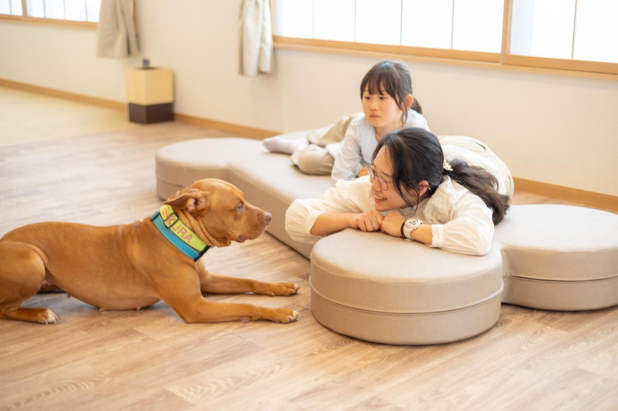 Komatsuya Hachinobou Izunokuni Bagian luar foto